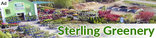 SMHNA-Sterling Greenery Advert Image